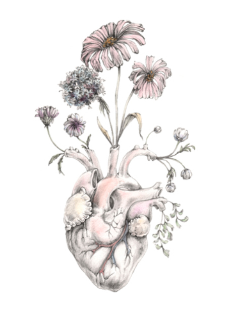 tumblr name drawings : Blog Meagan Art Heart Blooming Segal OC
